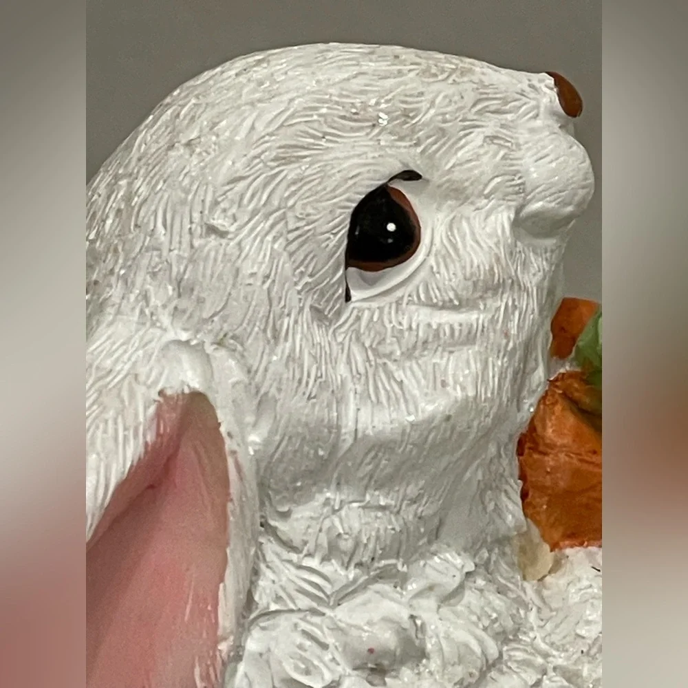 N/A rabbit carrots