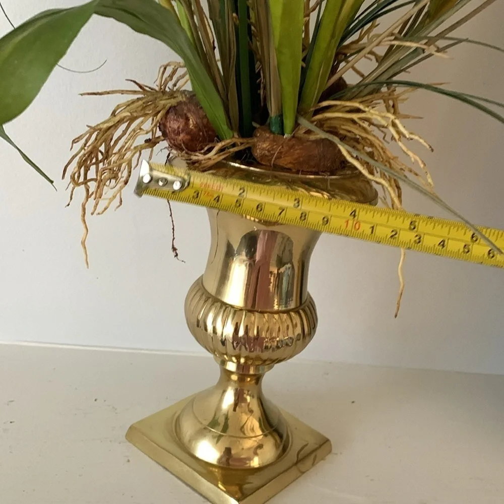 Brass great has