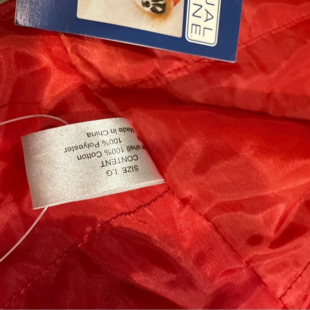 doggy fashion warm hooded
