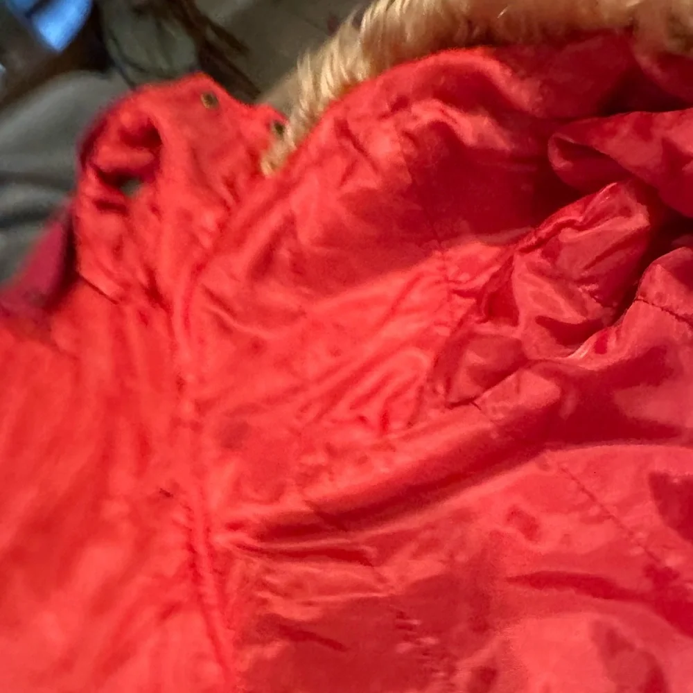 doggy fashion warm hooded