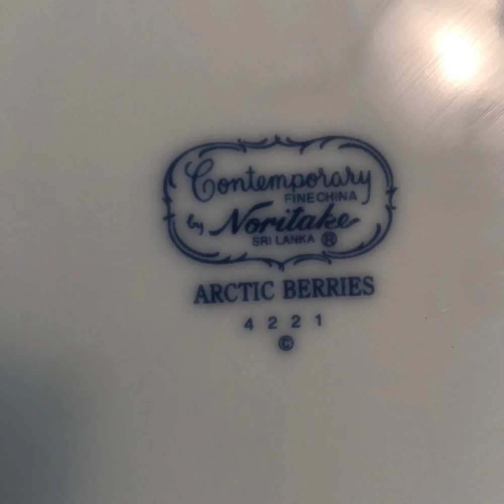 Noritake no chip
