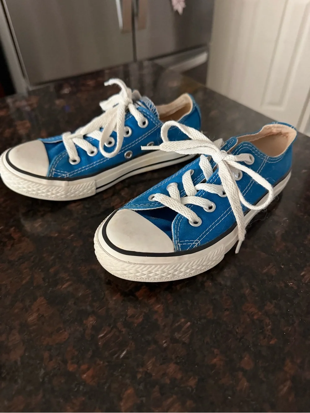 Converse classic canvas