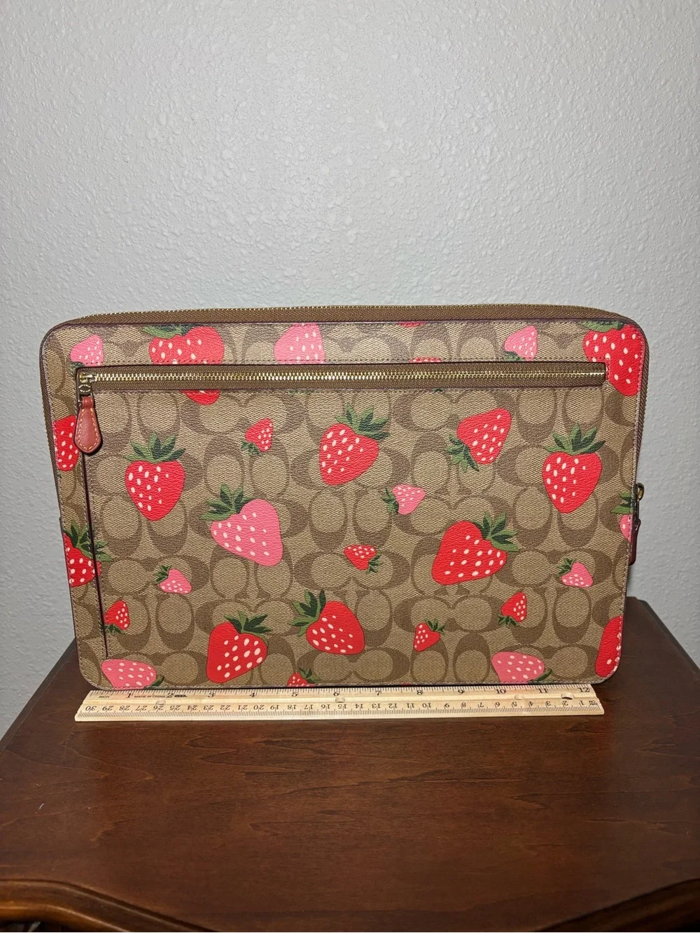 Coach zip pouch