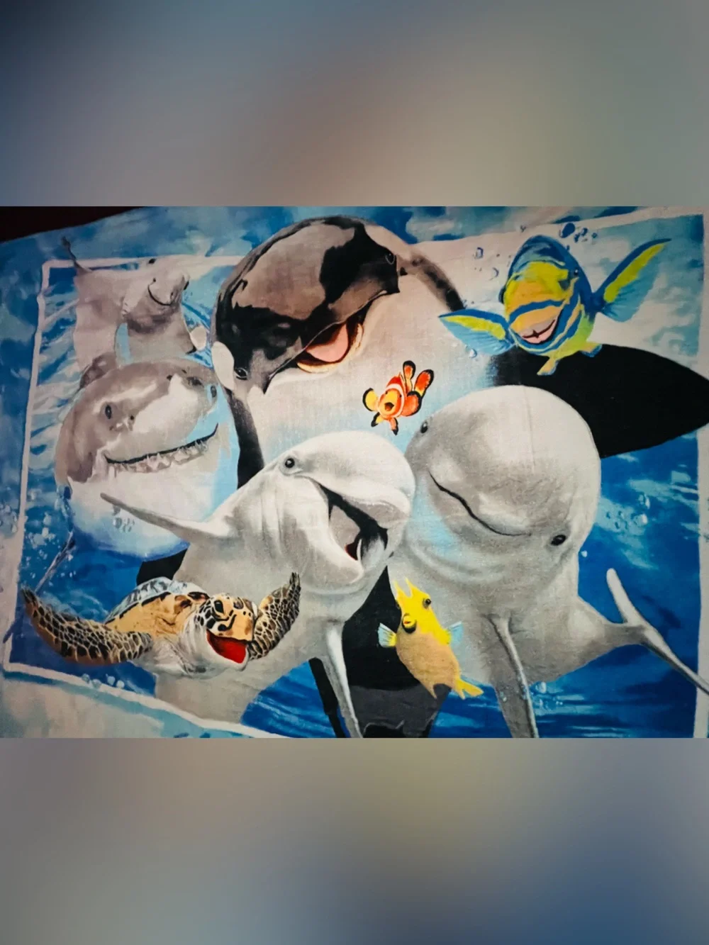 N/A sea life