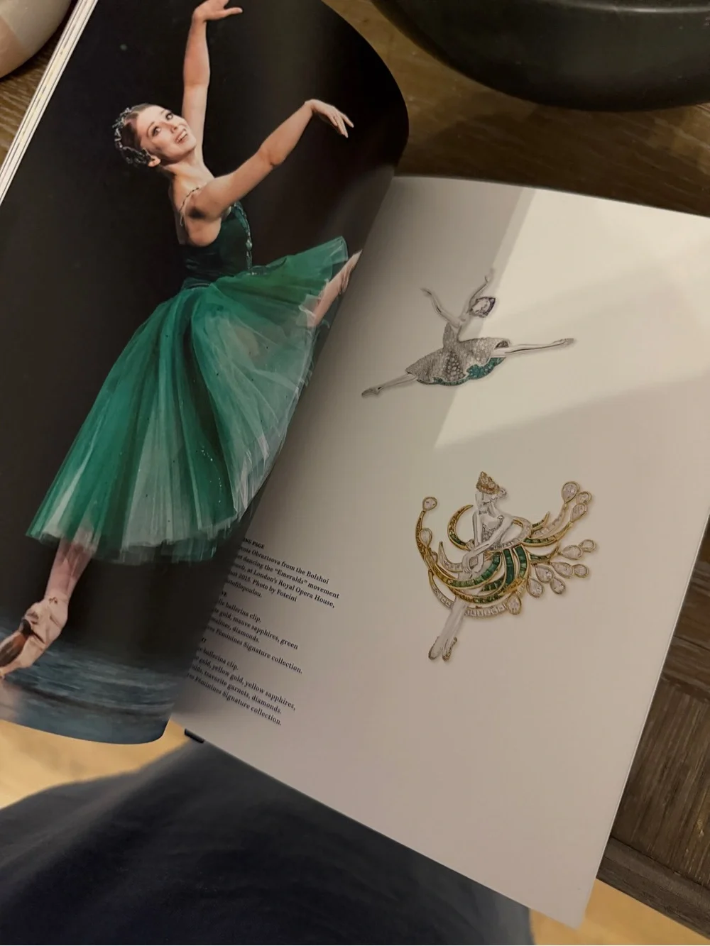 Van Cleef & Arpels elegant brand