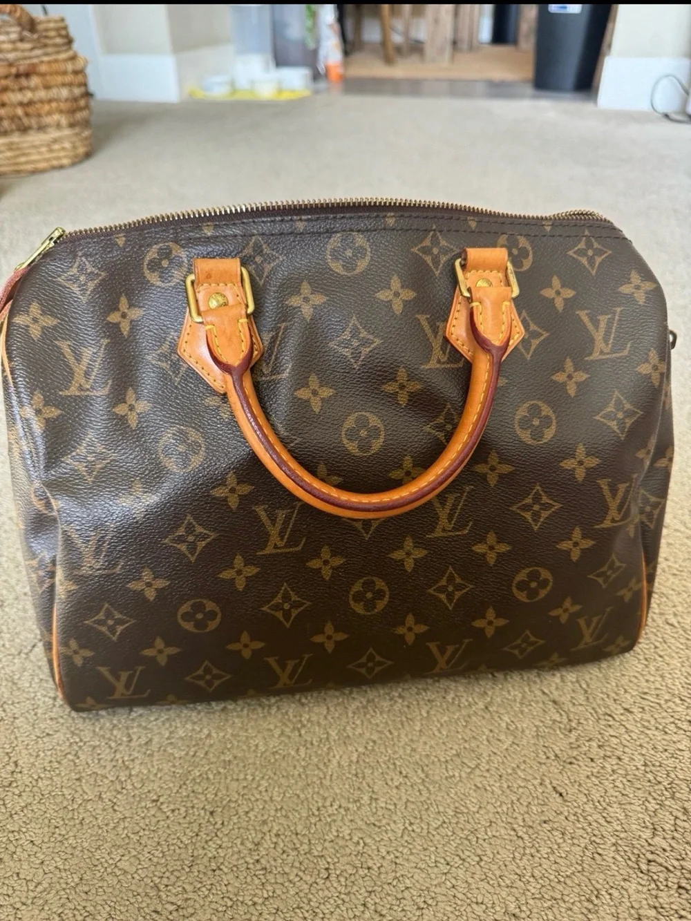 Louis Vuitton iconic louis
