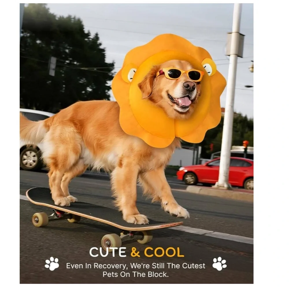 Midog dog cone