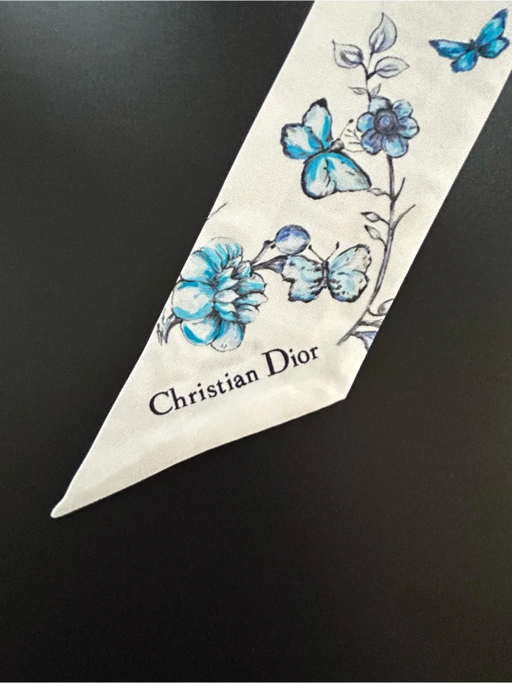 Dior authentic christian