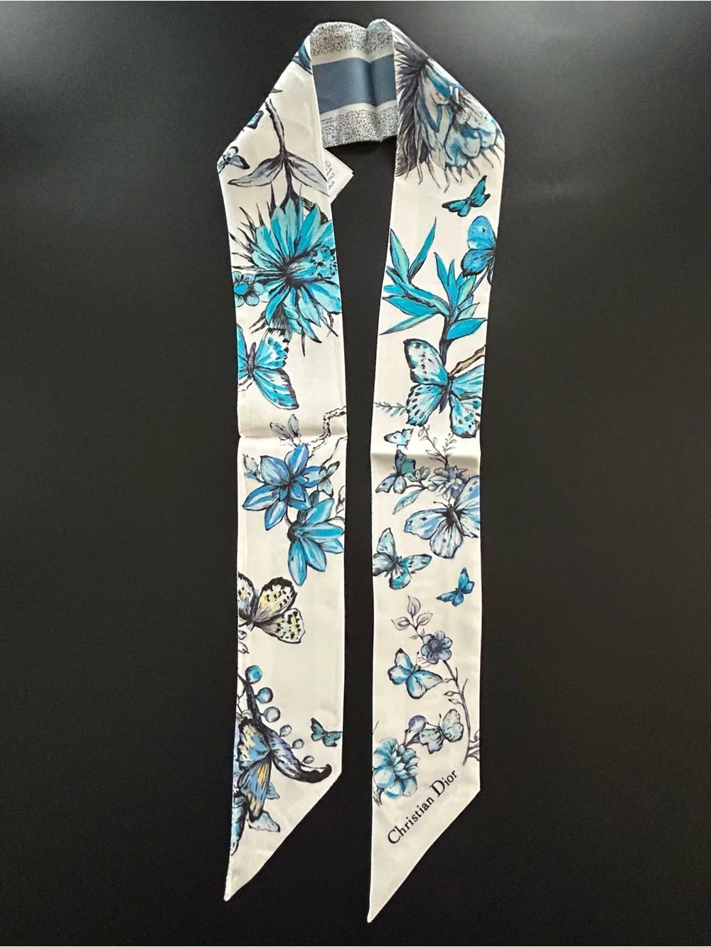 Dior authentic christian