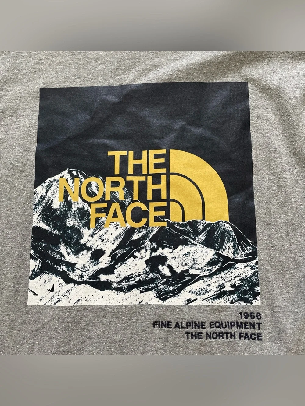 The North Face classic long