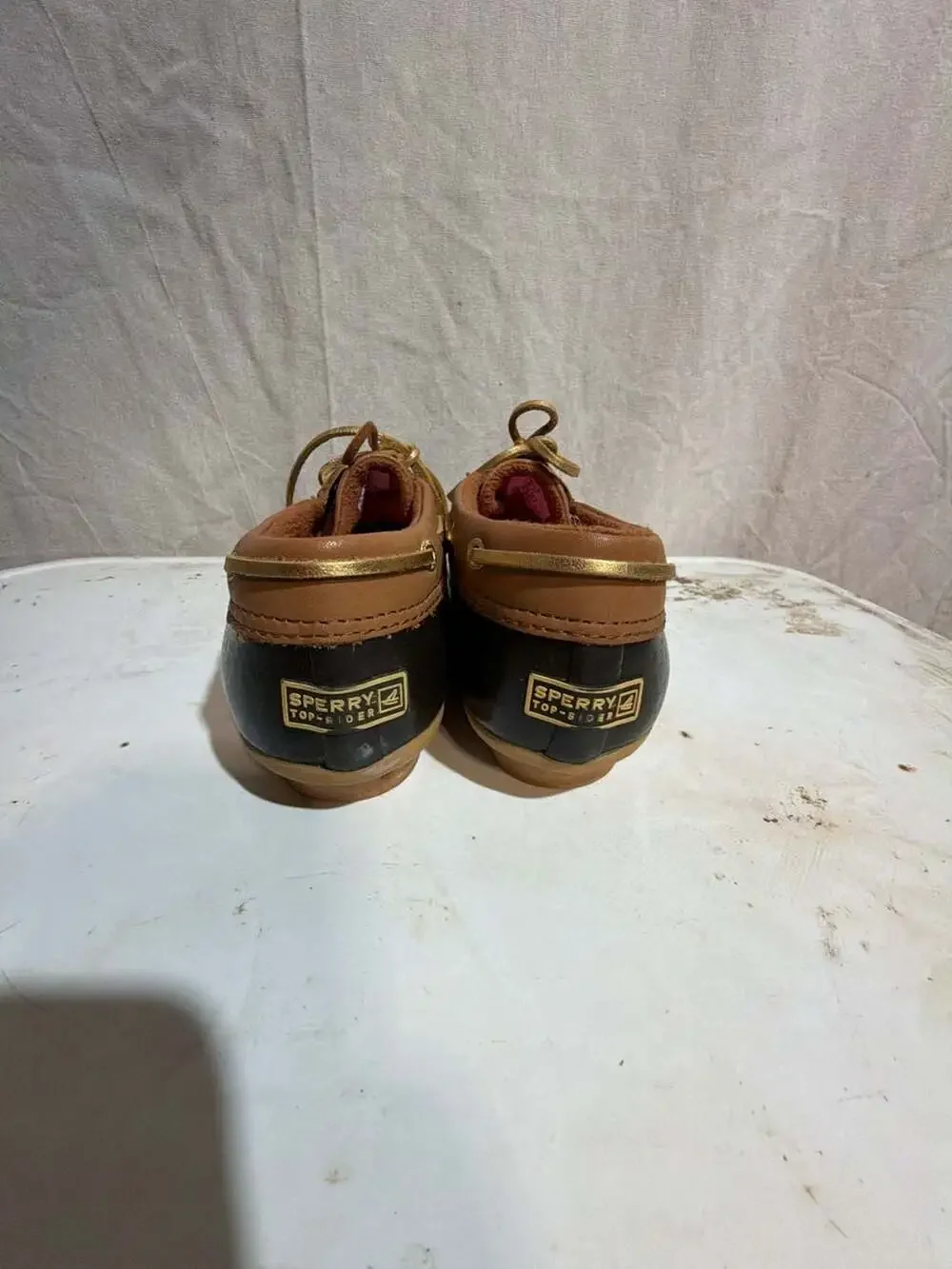 Sperry saltwater eye