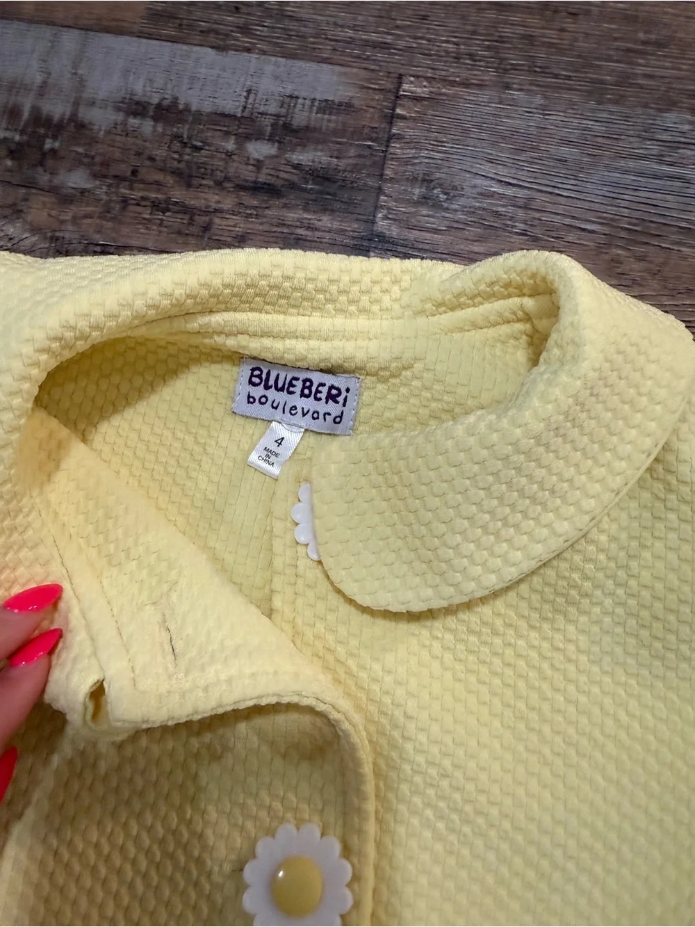 Blueberi Boulevard brand blueberi