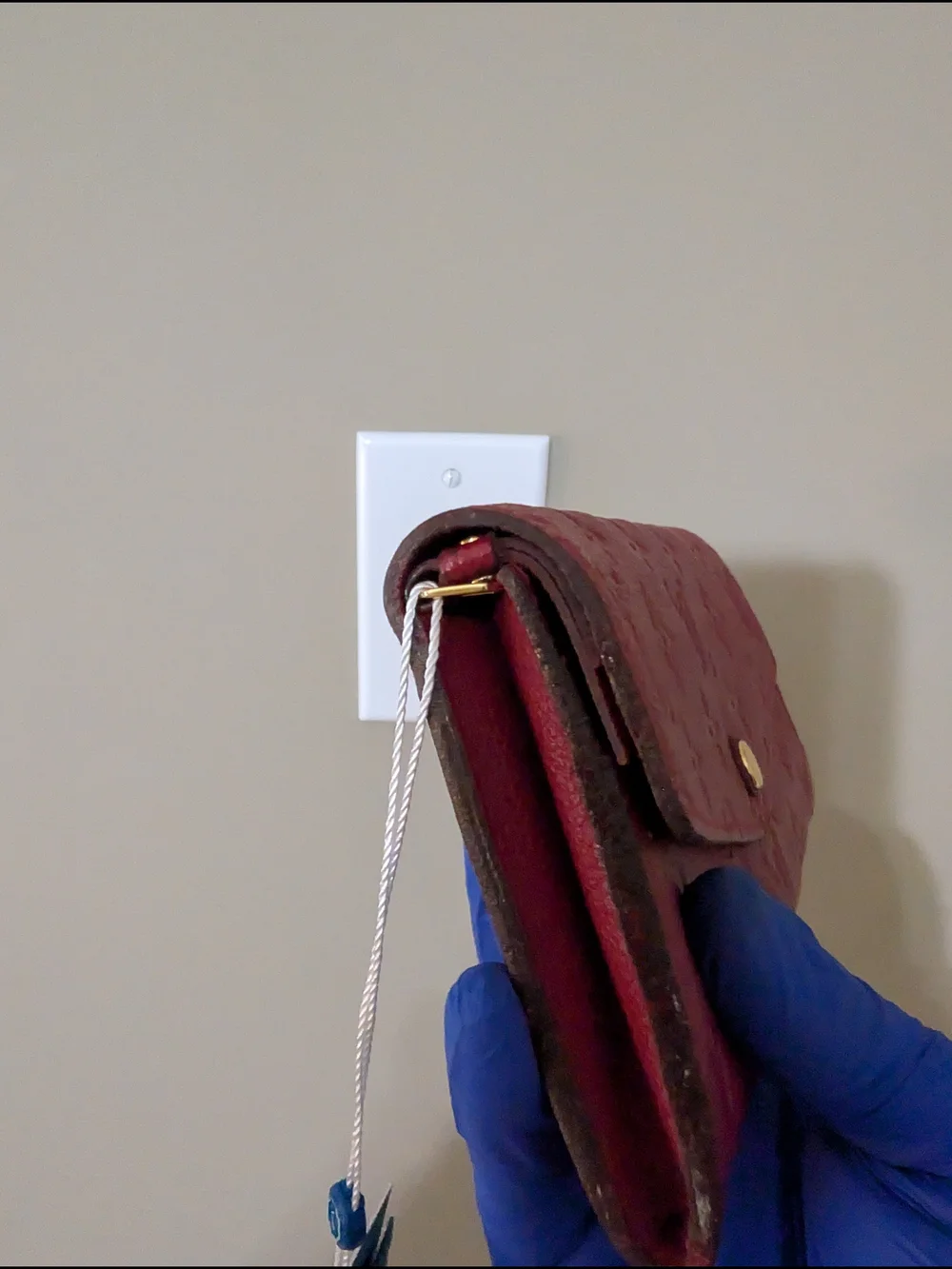 Louis Vuitton authentic louis