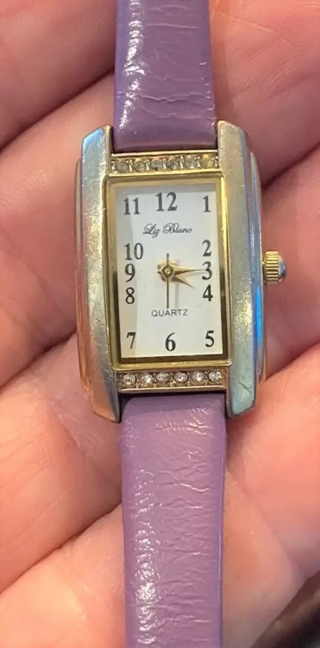 Women's 20mm Two Tone Liz Blanc Watch, Leather Band, Crystal Accents