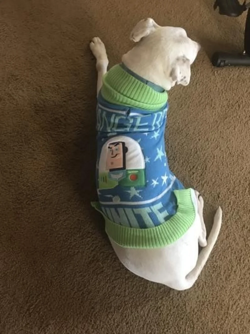 Disney themed knit