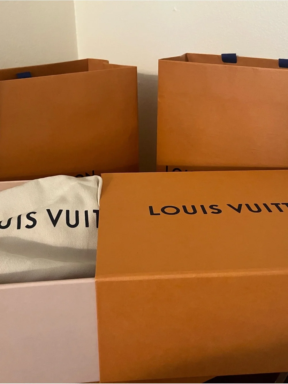 Louis Vuitton Orange and Navy Women Sandals Box and Bags