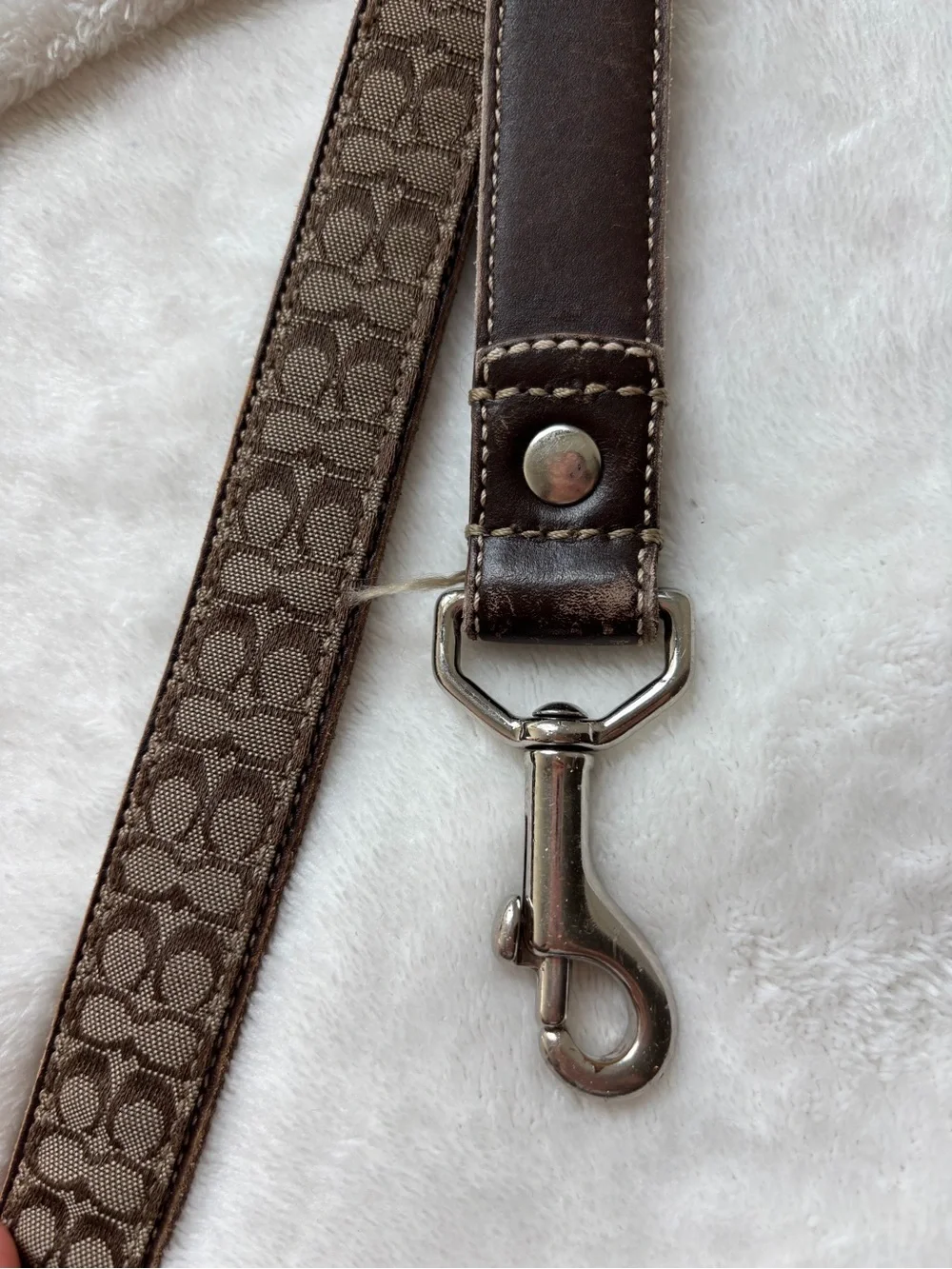 Coach designer leash