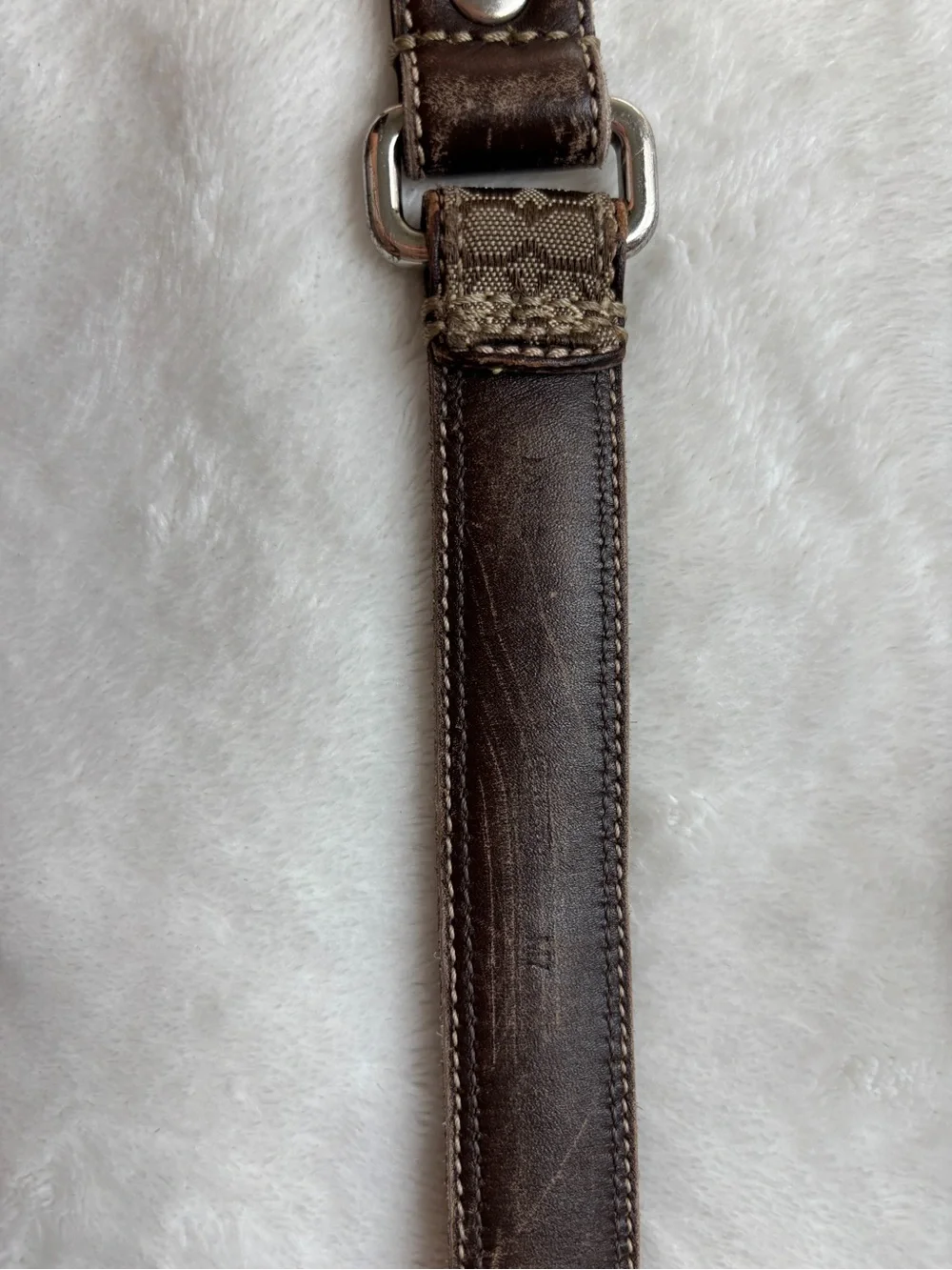 Coach designer leash