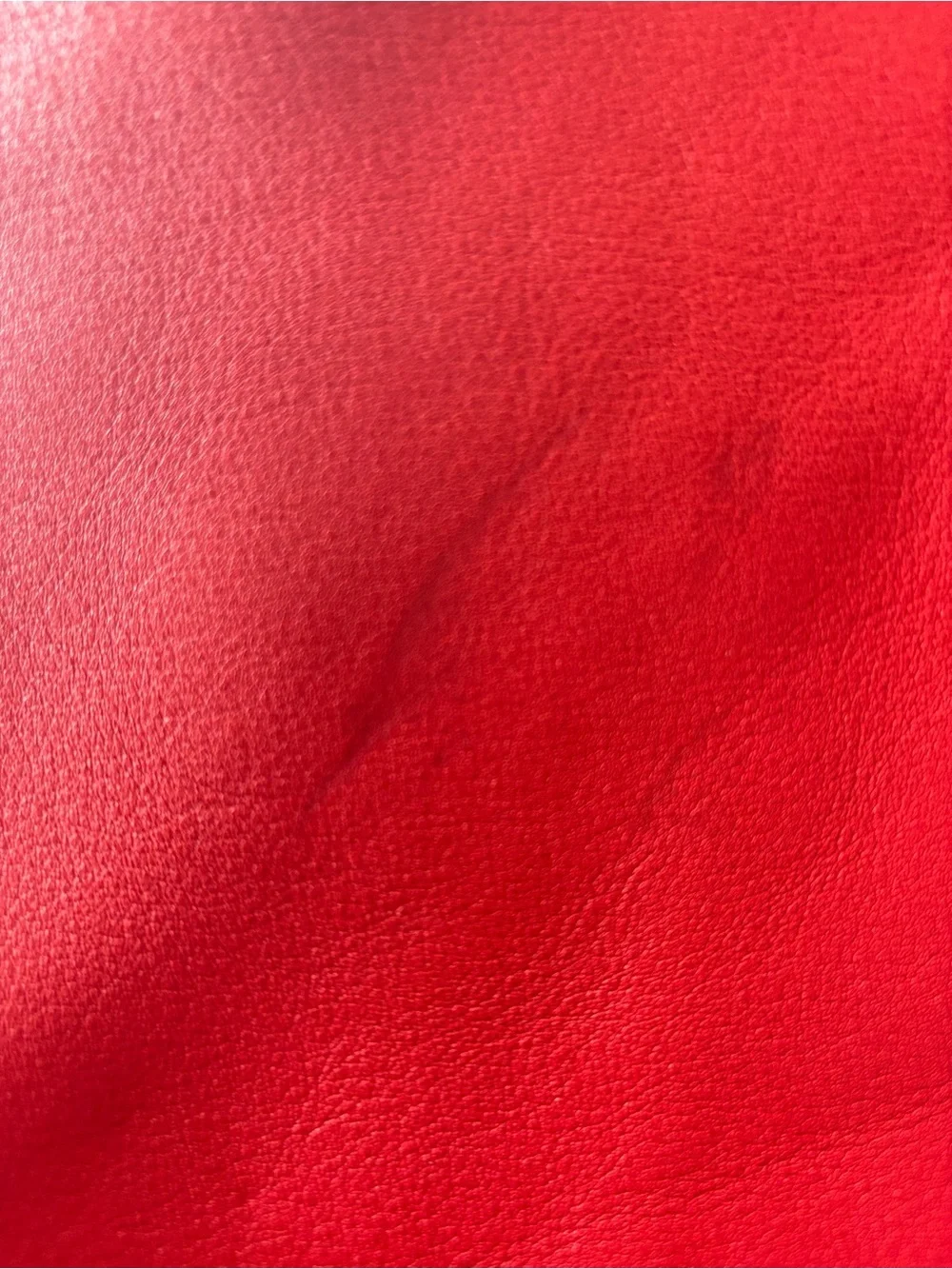 Coach Lexy Pebble Leather Shoulder Bag Red | Large Hobo Tote | Tassel