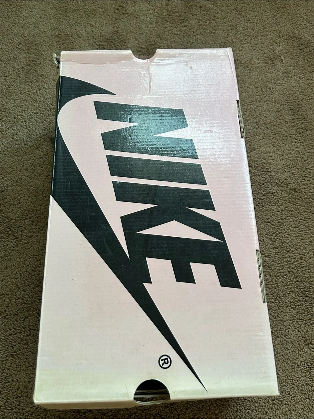 Nike sb dunk