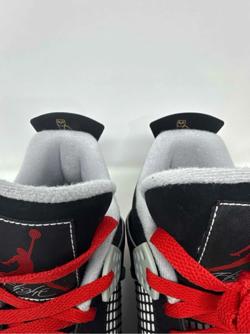 Jordan iconic basketball
