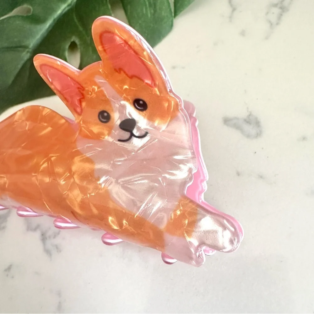 N/A corgi dog