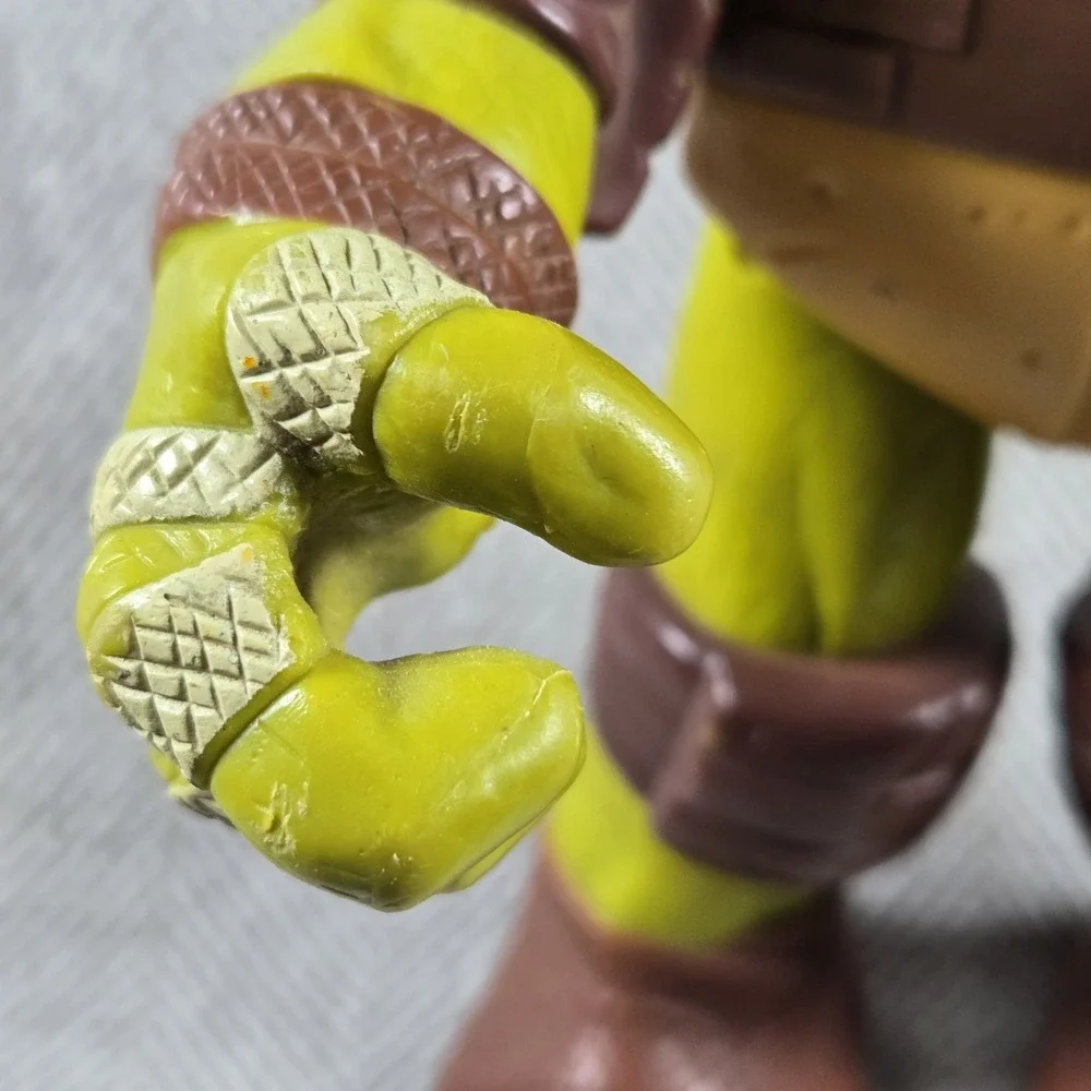 Teenage Mutant Ninja Turtles 10