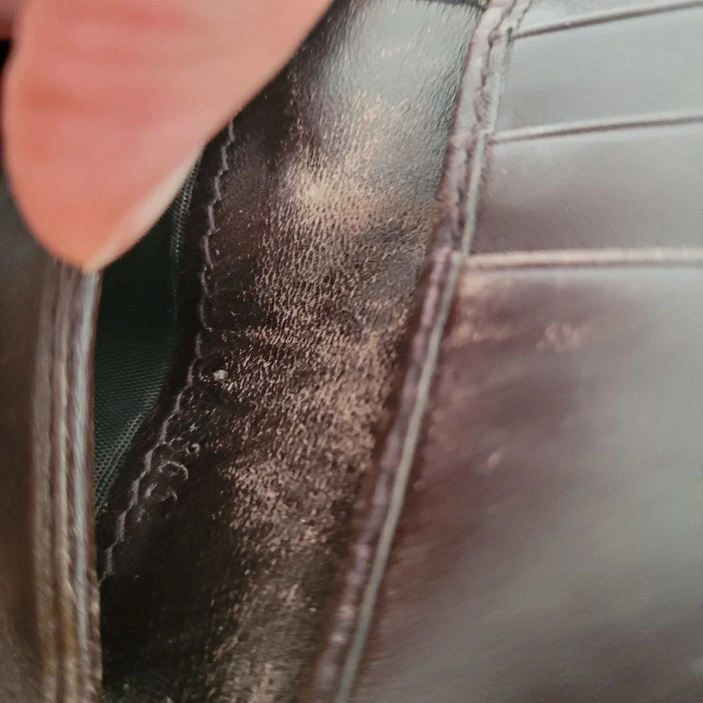 Gucci authentic measures