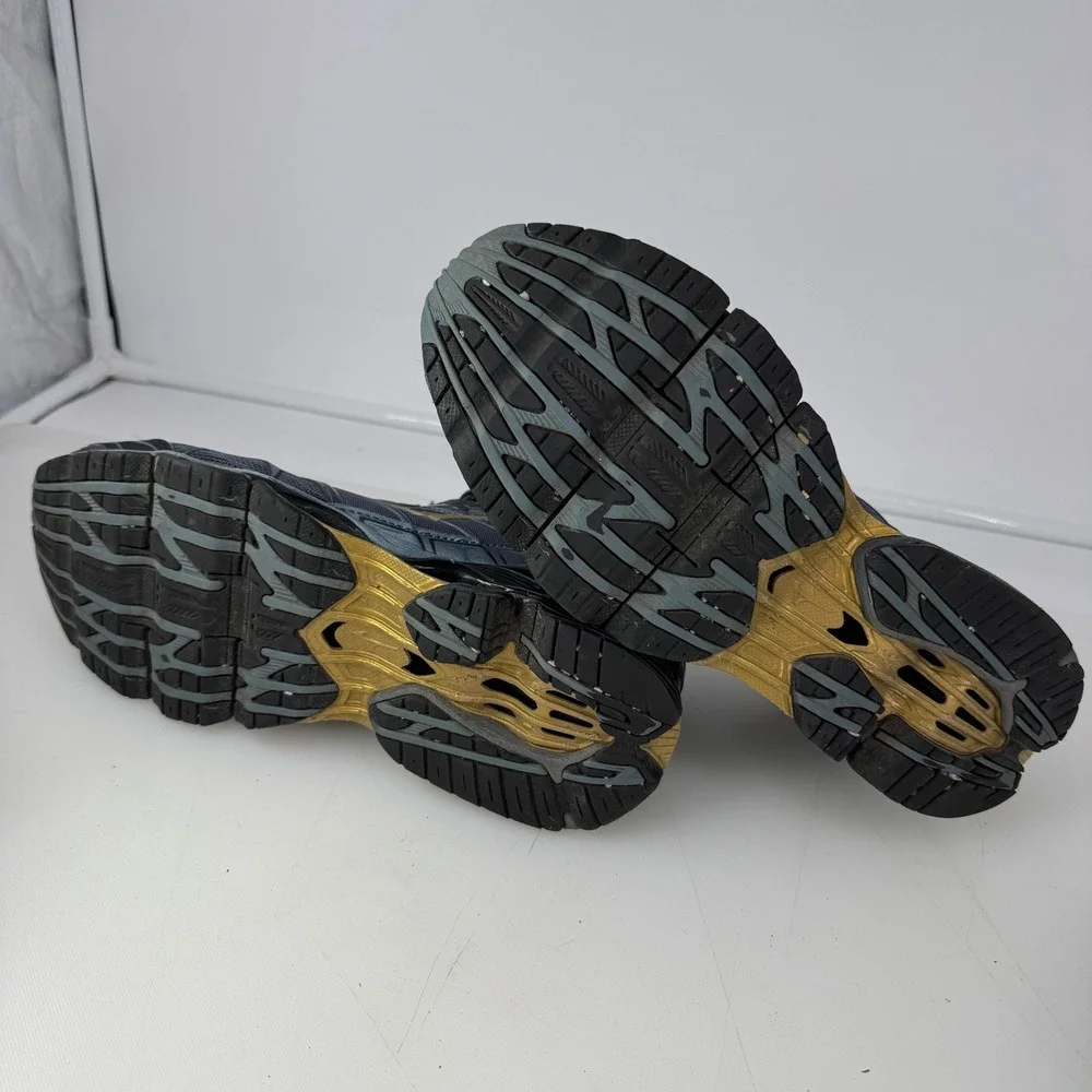 Mizuno wave prophecy
