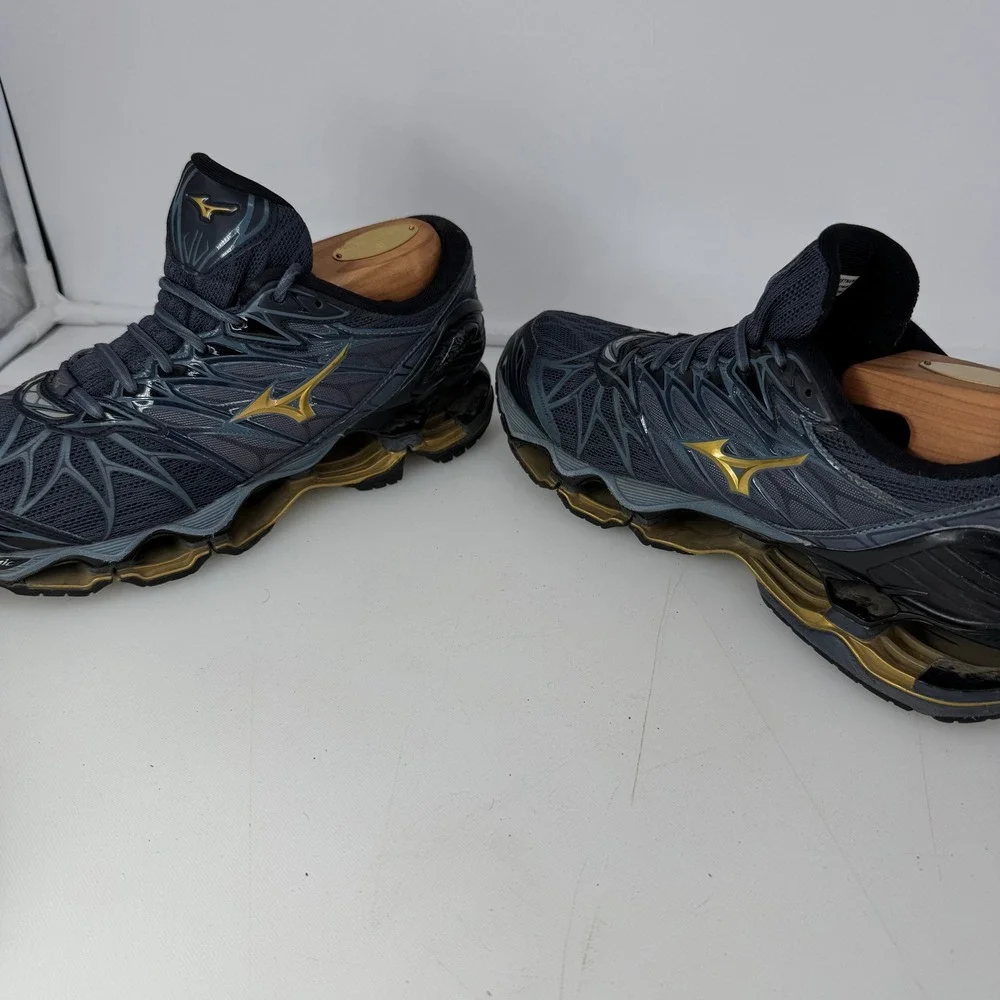 Mizuno wave prophecy