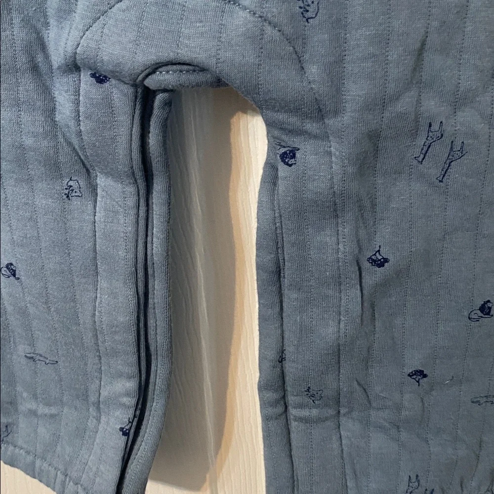Carters charming denim