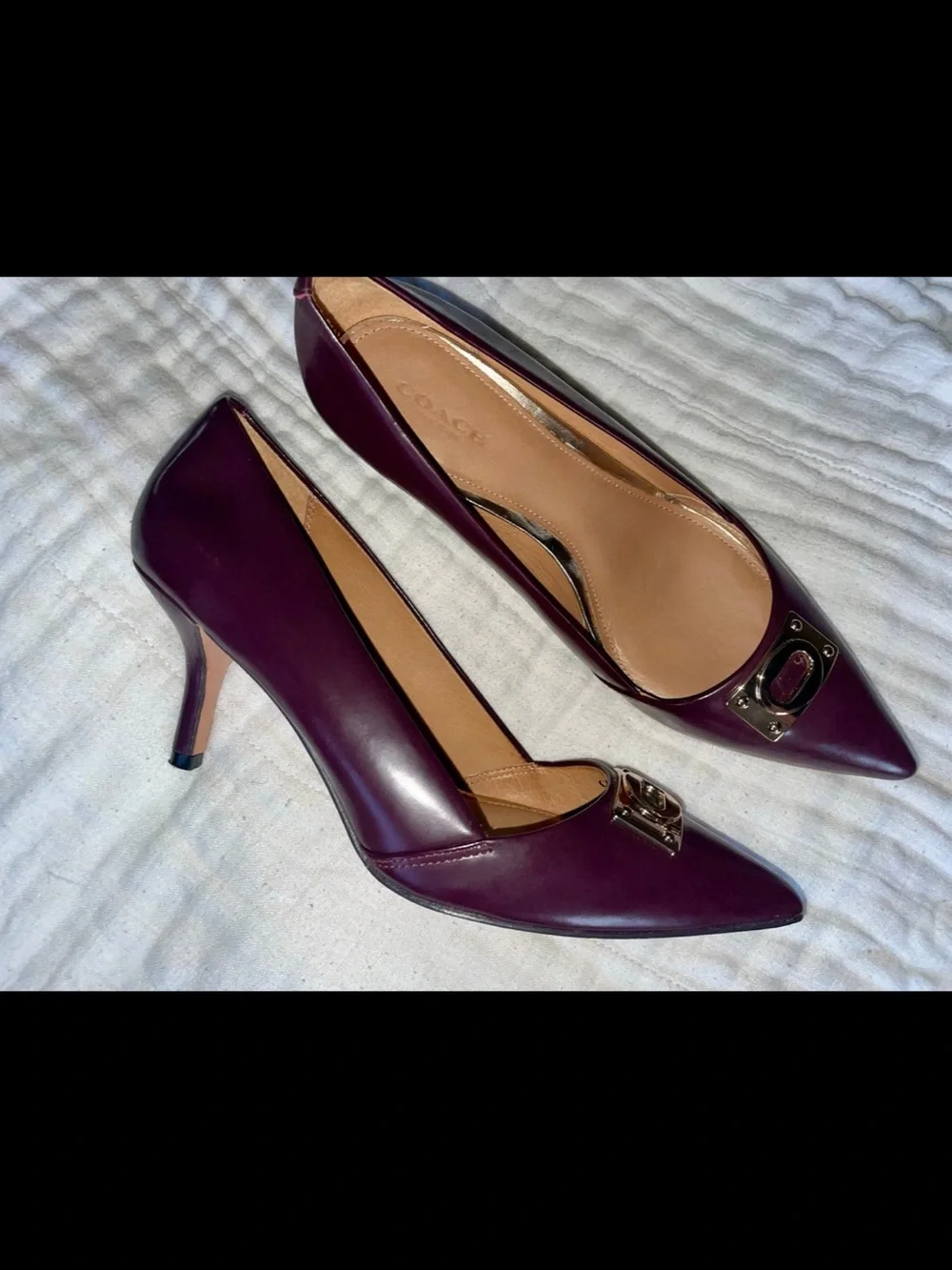 Coach Pointed-Toe Leather Pumps in Burgundy with Gold Plaque US 8