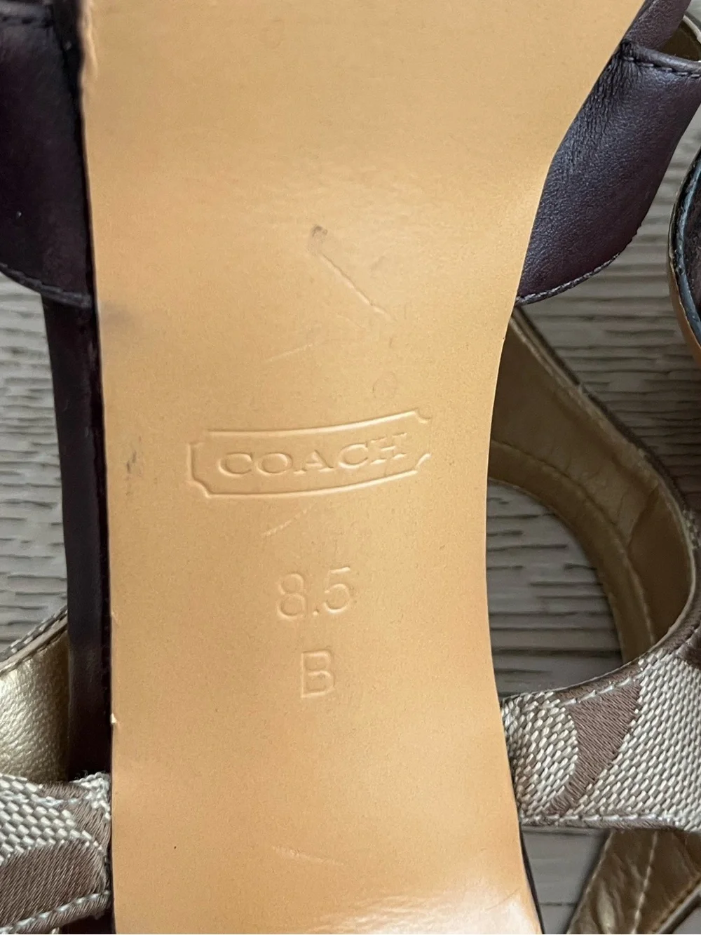 Coach stylish platform