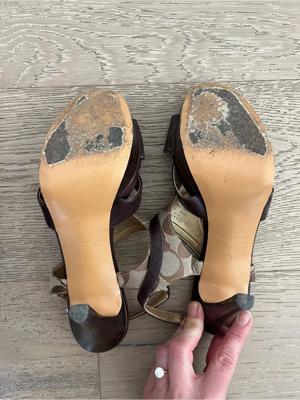 Coach stylish platform