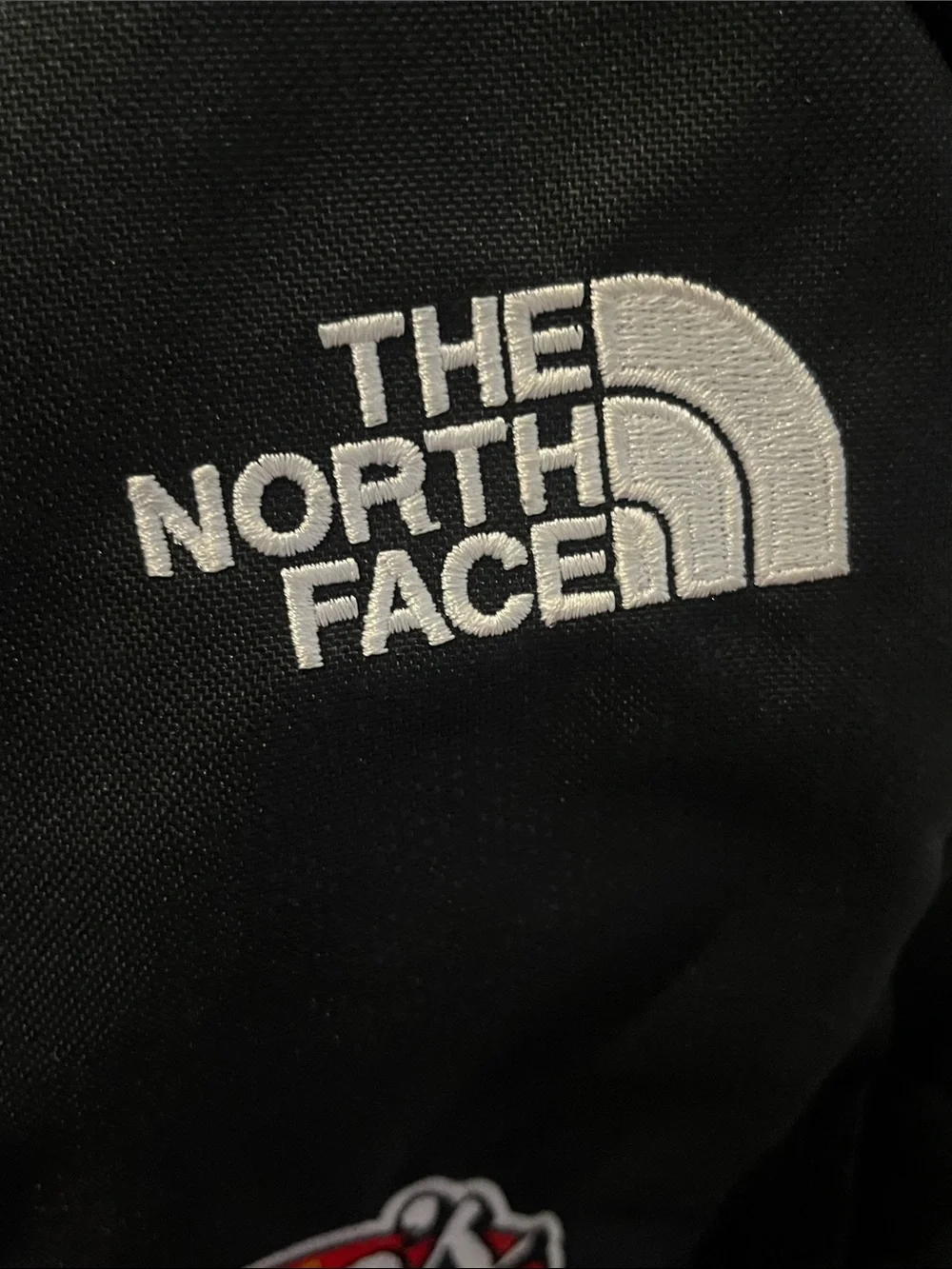 The North Face black north