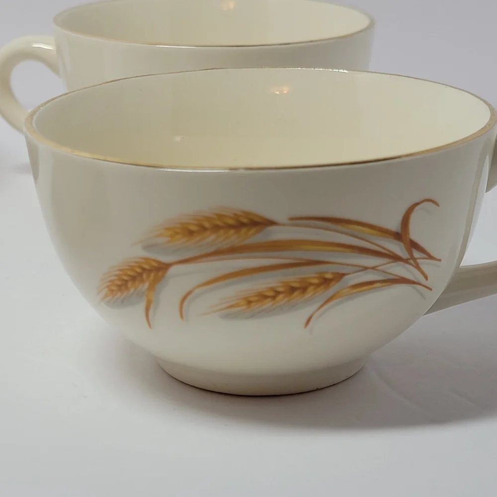 Homer Laughlin set vintage