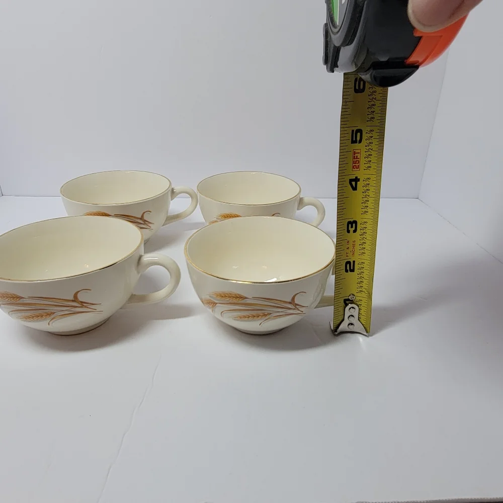 Homer Laughlin set vintage