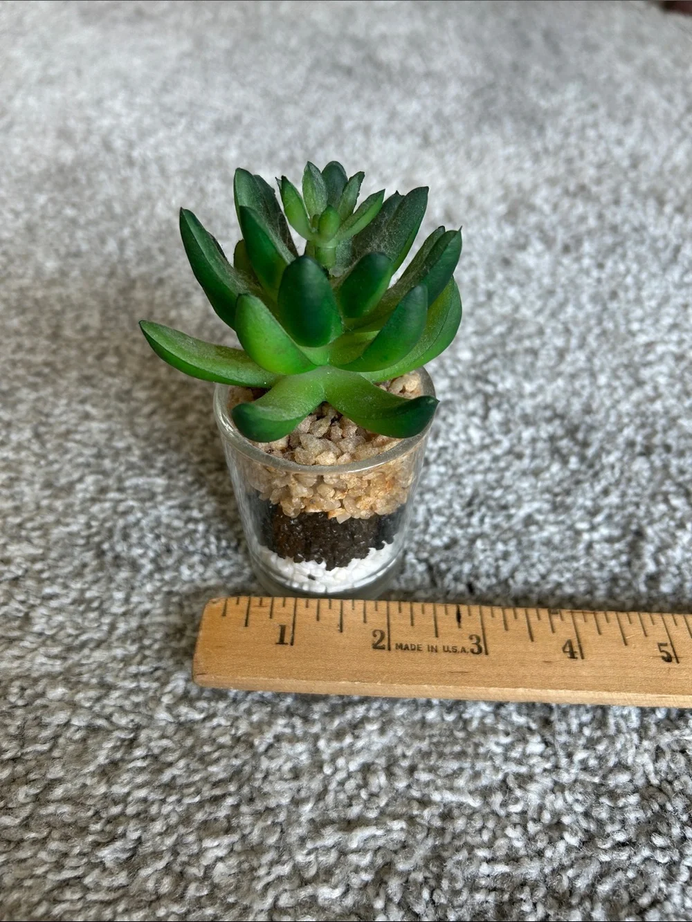Lifelike Green Faux Succulent in Glass Vase