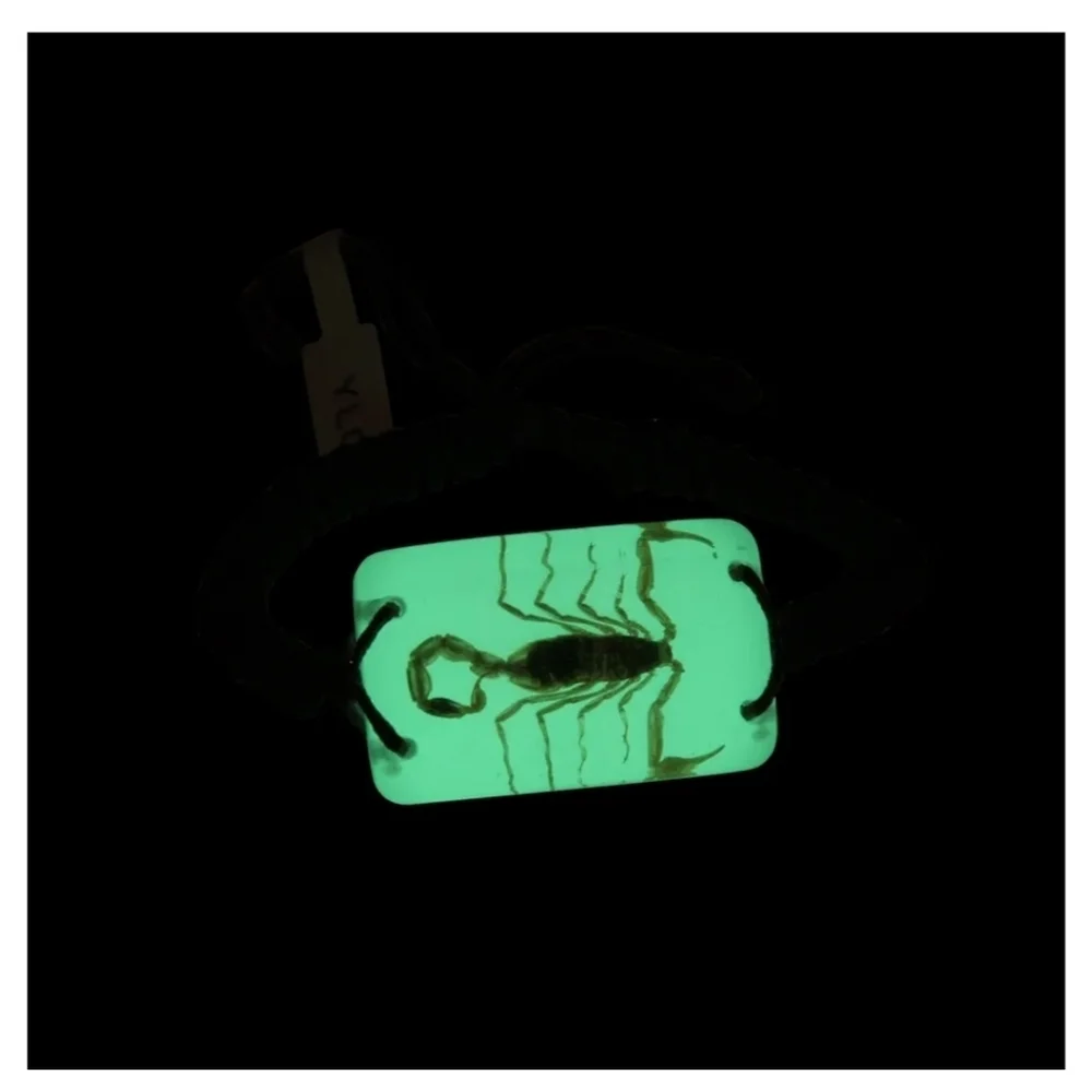 Real Cool Bug Company glow dark