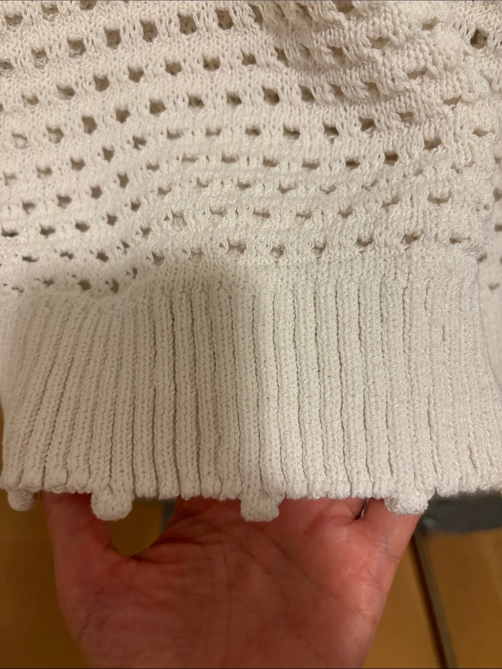 Zara eyelet crew
