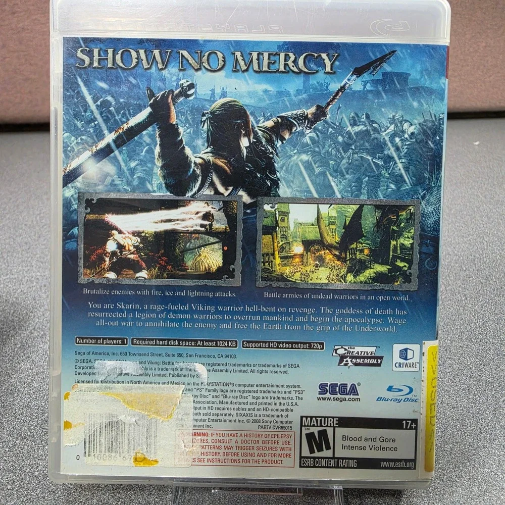 Sega viking battle