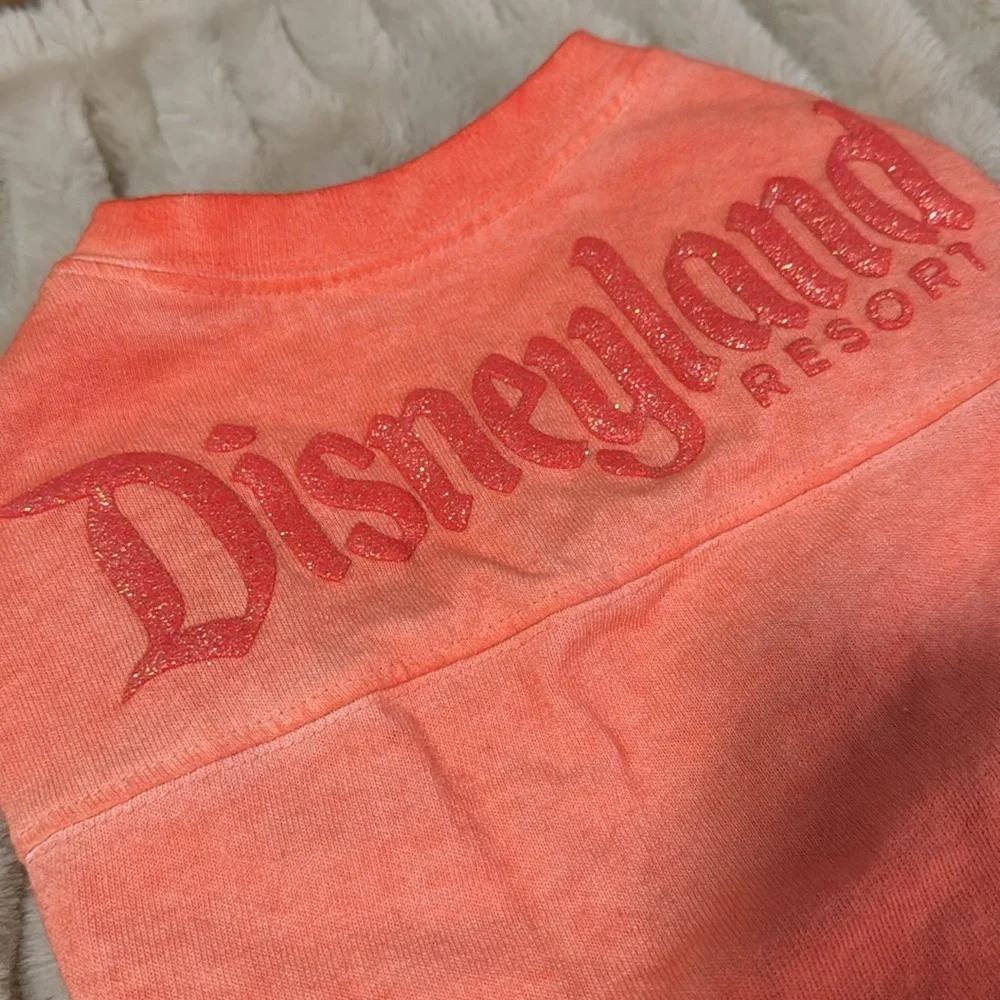 Disney disneyland resort