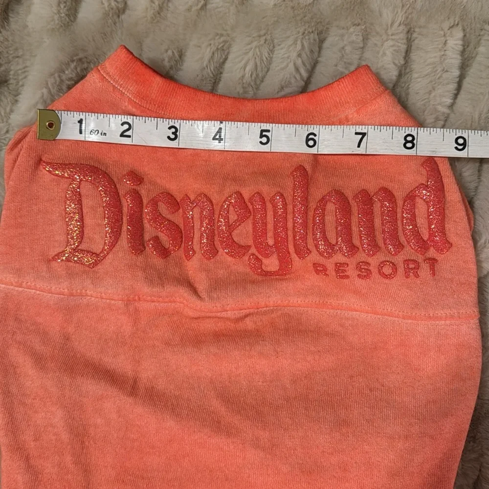 Disney disneyland resort