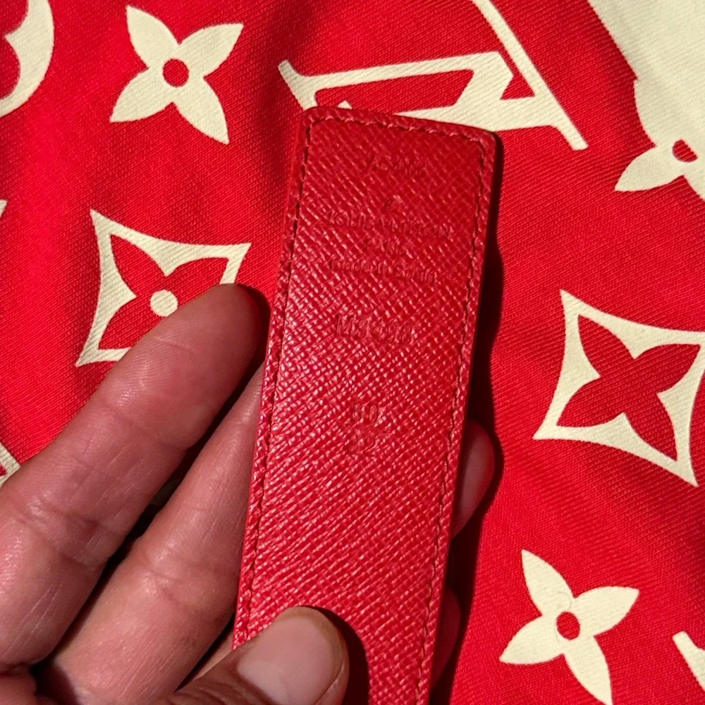 Louis Vuitton authentic louis