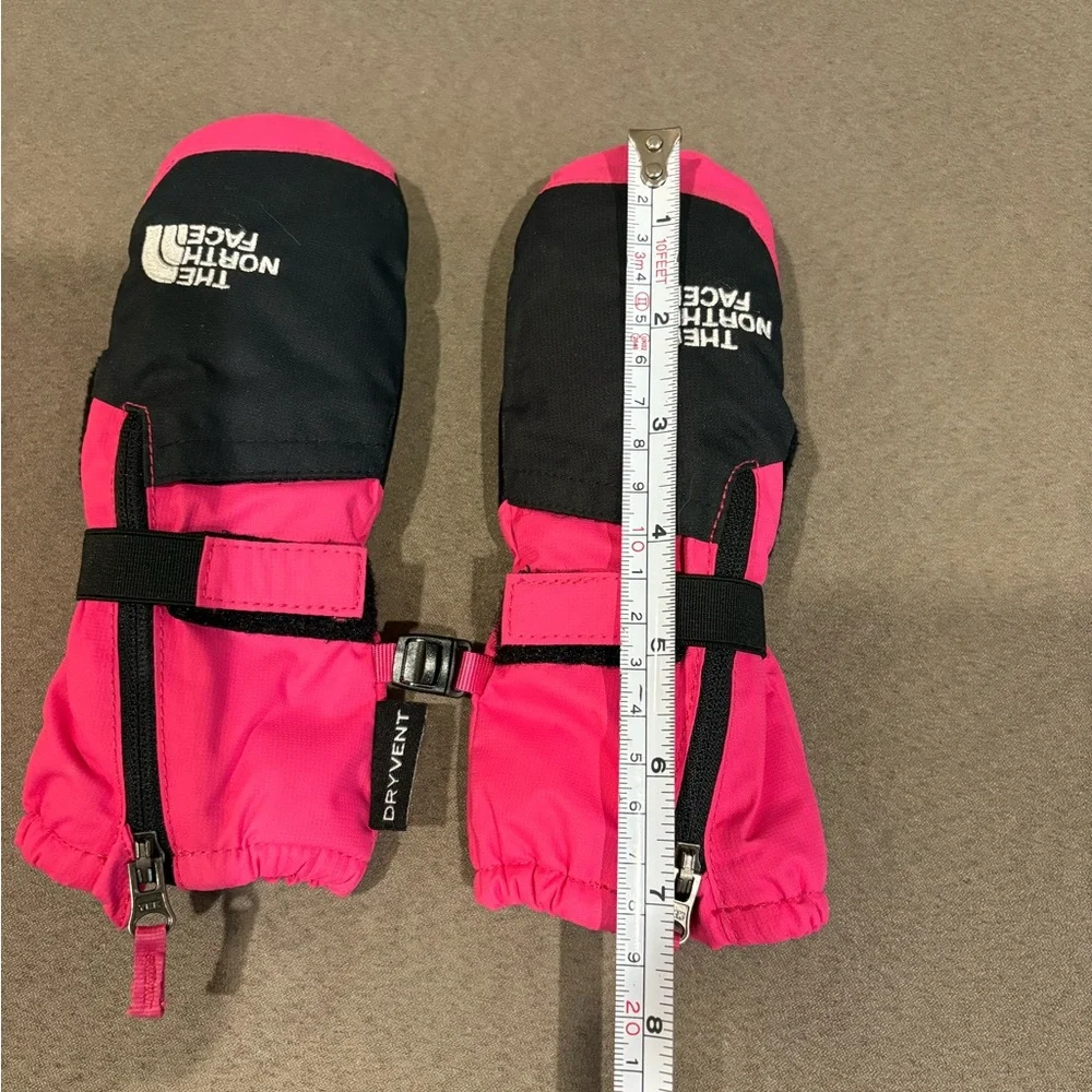 The North Face north face