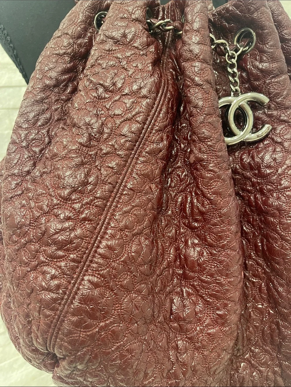 CHANEL authentic embroidered