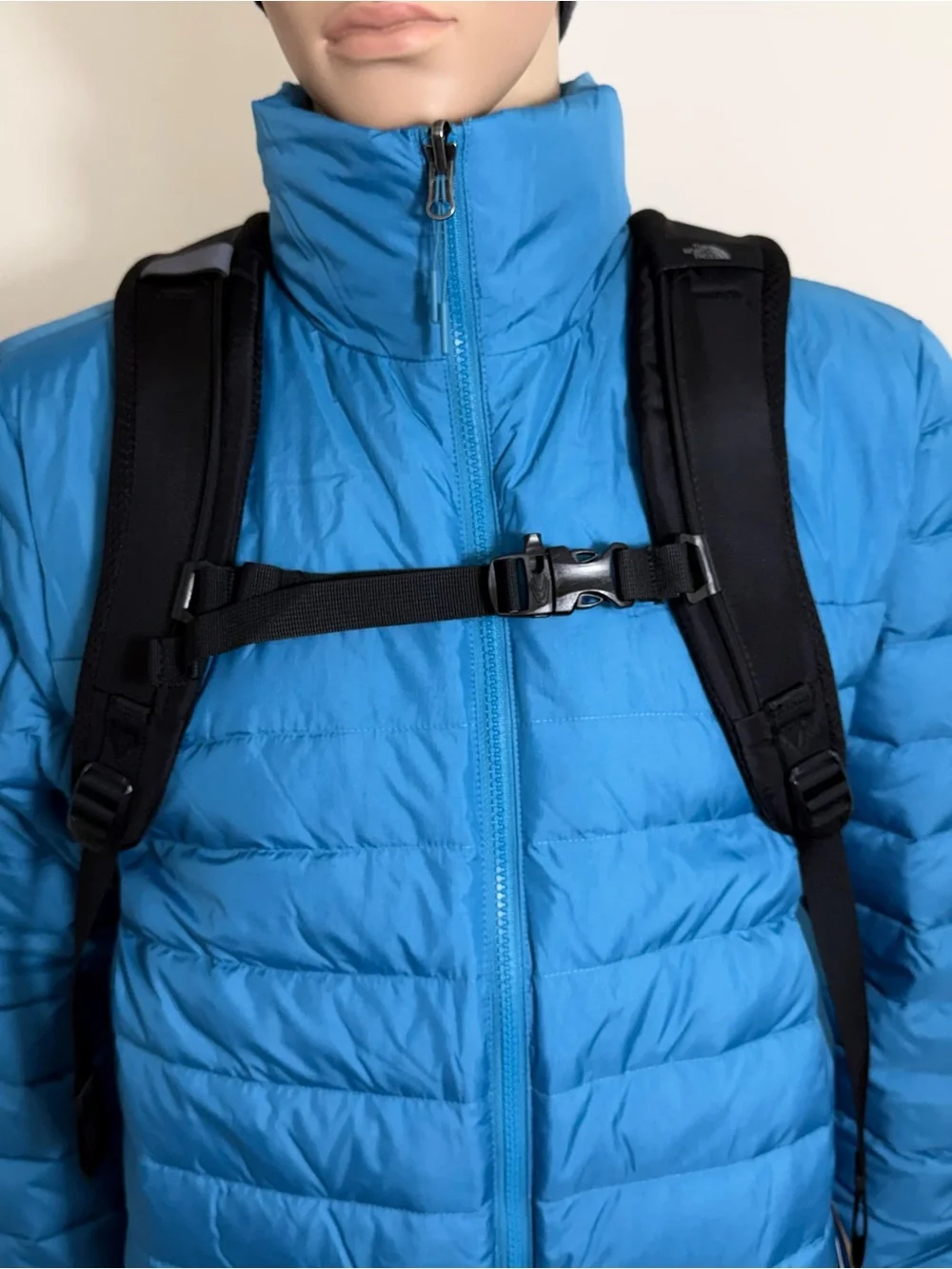 The North Face north face