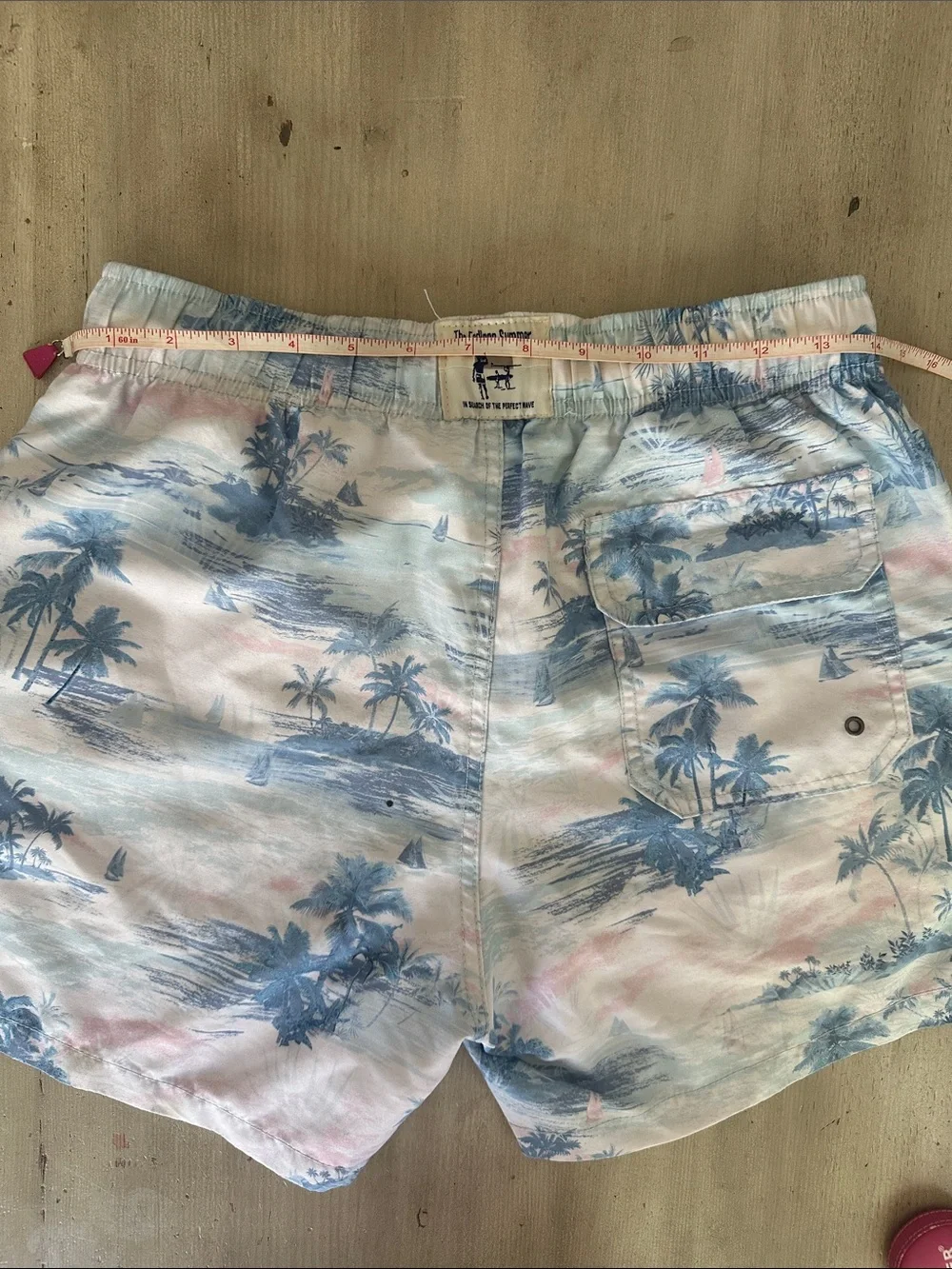 The Endless Summer good used