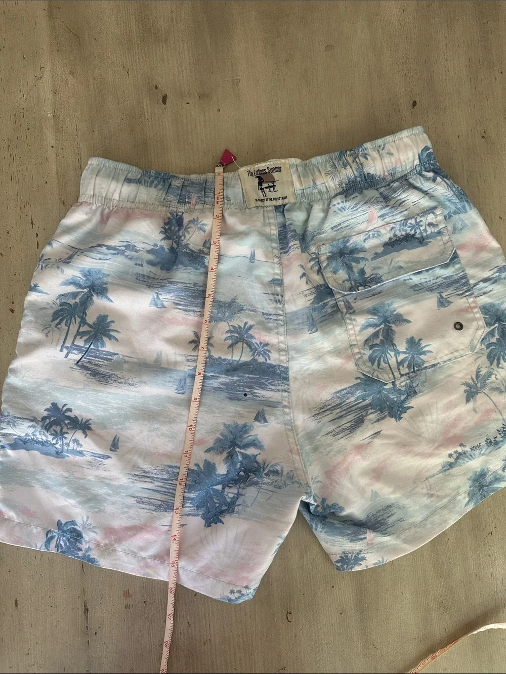 The Endless Summer good used