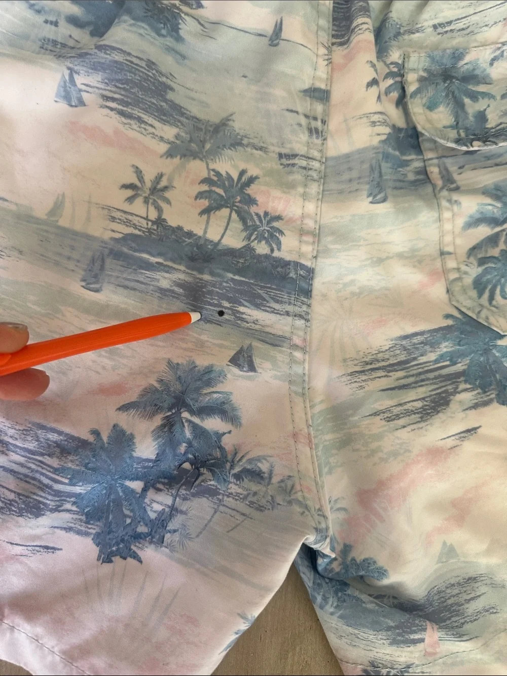 The Endless Summer good used